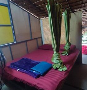 Mixed Dormitory Room