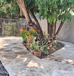 Queen Room with Garden View