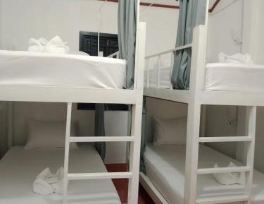 Bunk Bed in Mixed Dormitory Room