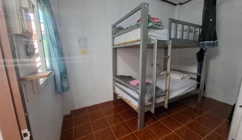4-Bed Mixed Dormitory Room