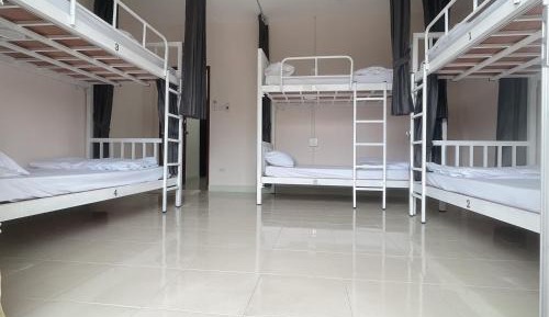 6-Bed Mixed Dormitory Room