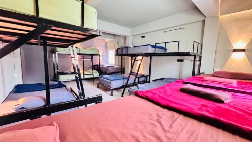 Bunk Bed in Mixed 10 Bed Dormitory Room