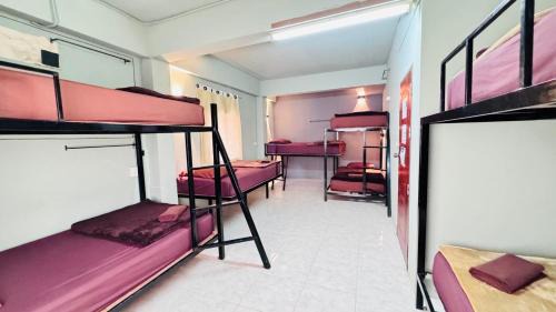 Bunk Bed in Mixed 8 Bed Dormitory Room