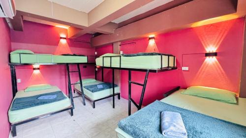 Bunk Bed in Mixed 5 Bed Dormitory Room 