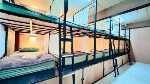 Bunk Bed in Mixed 12 Bed Dormitory Room