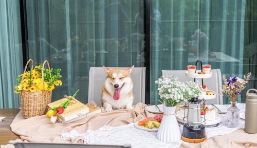 Pet-friendly Two-Bedroom Villa