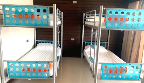 Bunk Bed in Mixed Dormitory Room (4 Adults) 