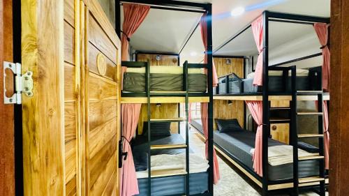 Bunk Bed in Mixed Dormitory Room
