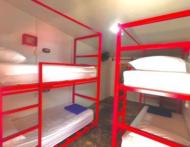 Bed in 4-Bed Mixed Dormitory Room