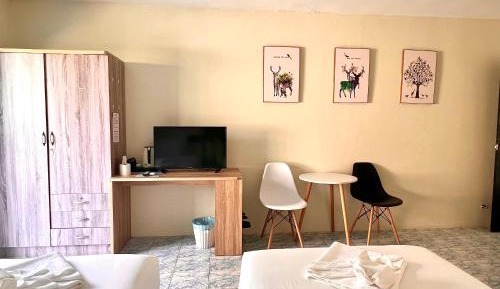 Twin Room with Balcony