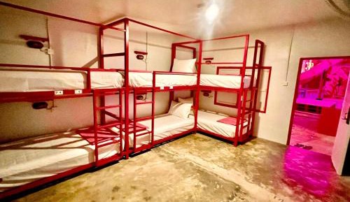 Bed in 6-Bed Mixed Dormitory Room