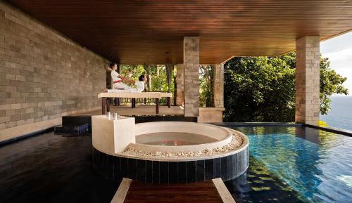 Spa Pool Suite (Open style washroom and bathroom)