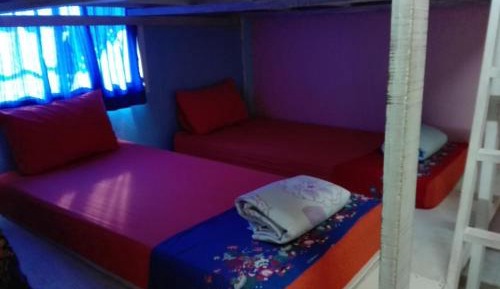 Bed in 10-Bed Mixed Dormitory Room