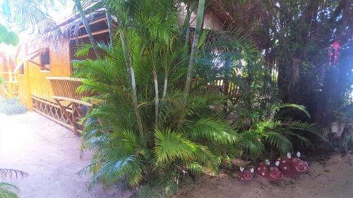 Bungalow with Garden View