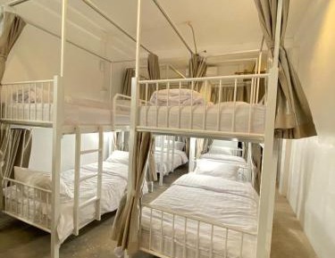 Bunk Bed in Mixed Dormitory Room