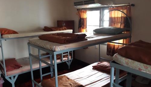 Bunk Bed in Mixed Dormitory Room