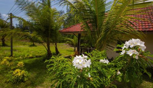 Budget Bungalow