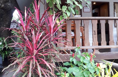 Cha-am Hotel | First and Field Resident