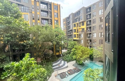 Phuket Apartment | The Base - New Studio Great location, shared Pool