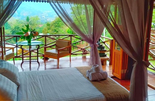 Pong Yaeng Hotel | Camelliana Horizon Pongyang - Nature Retreat