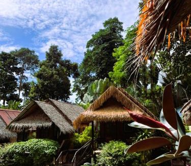 Bai Lan House | Jungle Garden
