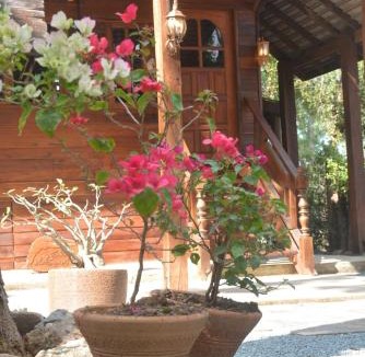 On Nuea House | Sunny Mountain