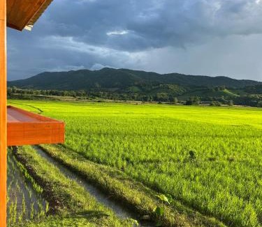 Pong House | Nonnatatonview นอนนาตาทนวิว
