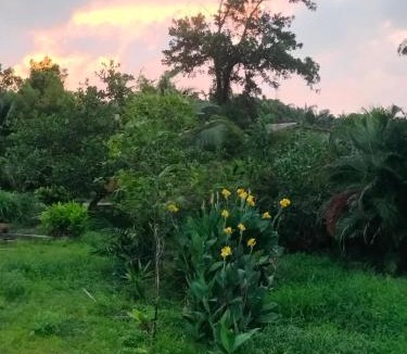 Takua Pa Apartment | Parami Farmstay