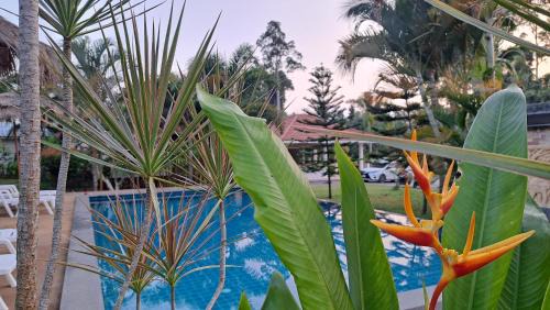 Mae Nam Ski Chalet | Ananda Resort, Villa 4 in Maenam Jungle