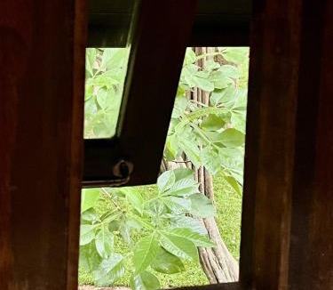 Kanchanaburi Ski Chalet | Cottage upon Tyne คอทเทจริมธาร - Woodland Cabin for 6