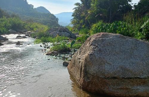 Ban Na San Other | Baansuan Patooy Camping