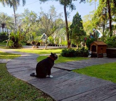 Mae Yao Bed & Breakfast | Baan JaoKorKluay Homestay