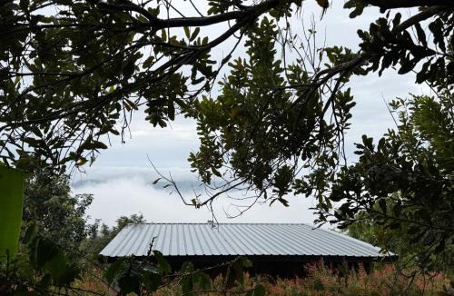 Chiang Rai Province Cabin | Merrin Farm