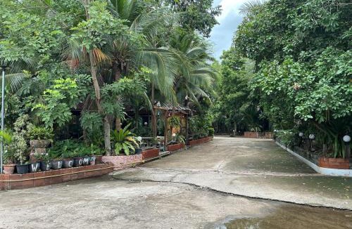 Prakhon Chai House | Tree and coffee resort V1