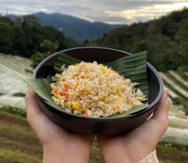 Chom Thong Resort | ม่านป่ามองเขาเฮ้าส์ Manpamongkao House