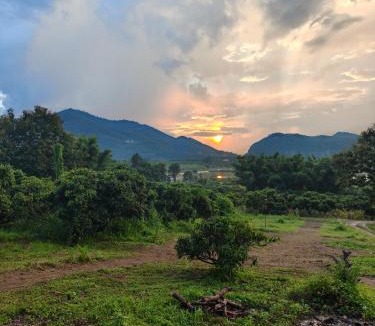 Phrao Other | สกายพร้าวแคมป์ปิ้ง