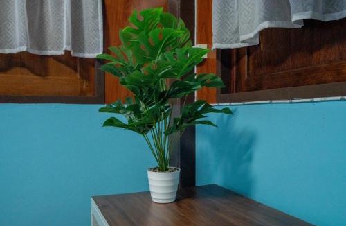 Samae Dam House | Canal-side Wooden House 3BR Private Garden