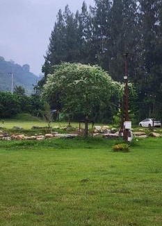 Khao Yai National Park House | วีไวบ์ ชะอม Vvibes Cha-0m