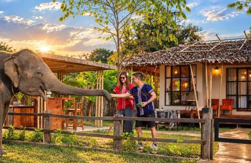 Mae Taeng Other | Elephant Nature Camp