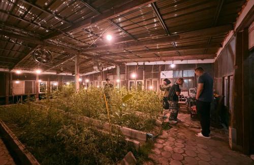 Mae Yao House | Muangkham Peaceandlove Farm