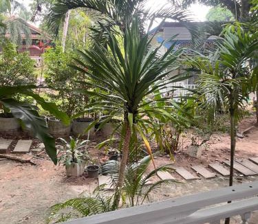 Ko Pha-ngan Hotel | Angel Hut Resort