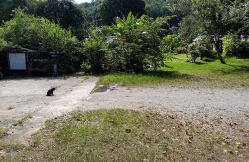 Chom Thong House | Mr Deang shop Doi Inthanon bird center