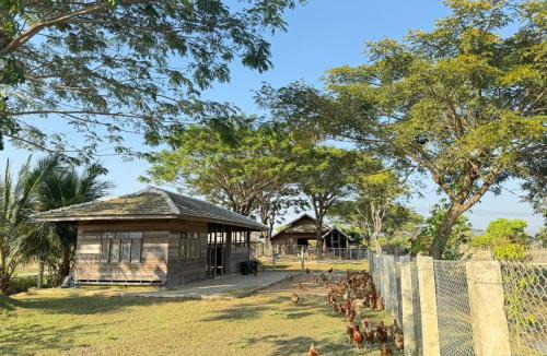 Wiang Pa Pao House | เพลินนะเพลินนา รีสอร์ต Ploennaploenna