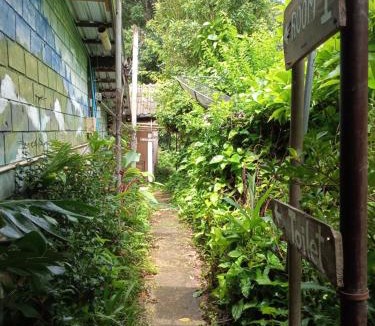 Chom Thong House | Mr Deang shop Doi Inthanon bird center