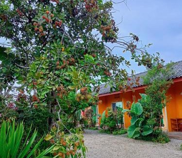 Chiang Rai Hotel | Six Nature Resort