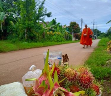 Chiang Rai Hotel | Six Nature Resort
