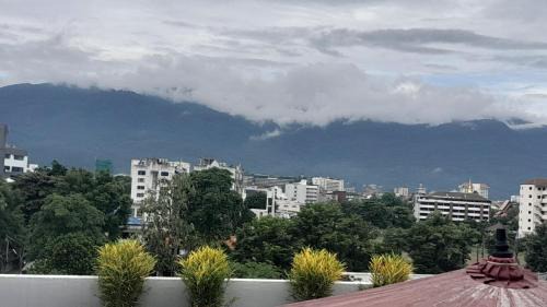 Chang Phueak Hostel | Nature's Heaven Hostel