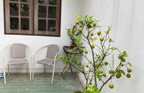 Huay Kaew House | MOODs Lifestyle