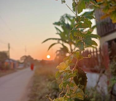 Chiang Rai Hotel | Six Nature Resort