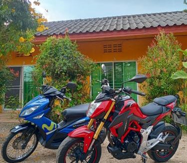 Chiang Rai Hotel | Six Nature Resort